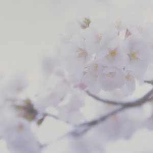 美女晚内衣脱内裤
