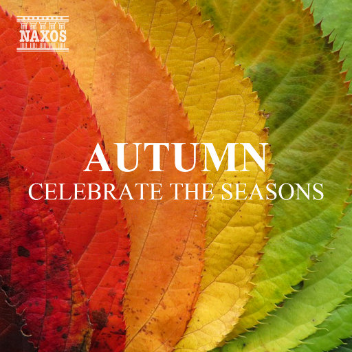 美女晚内衣脱内裤
